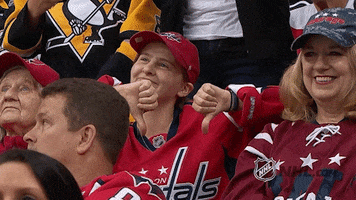 Stanley Cup Playoffs No GIF by NHL
