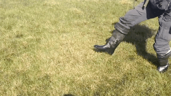 plysaciatvrdaci sibir metan GIF