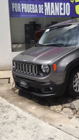 franciscovazquez-05e6 empresa automotriz toluca GIF