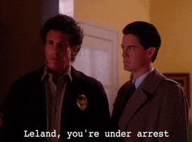 michael ontkean episode 3 GIF by Twin Peaks on Showtime