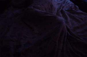 Isidora sueÃ±o sapa GIF