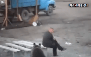 mulderfox  GIF