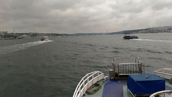 robertoa  GIF