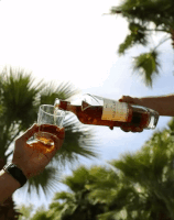 whiskey GIF by The Macallan