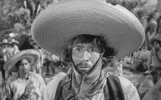 the treasure of the sierra madre movie quotes GIF
