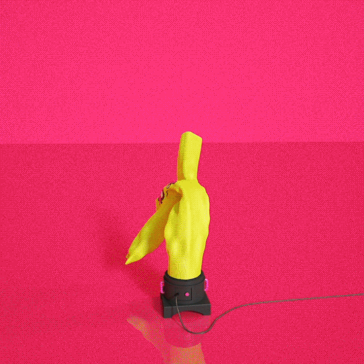 giphy.gif