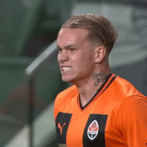 Happy Champions League GIF by FC Shakhtar