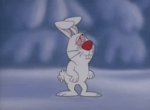 Frosty The Snowman Rabbit