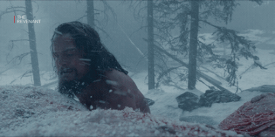 the revenant winter GIF by NETFLIX