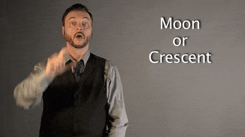 sign language moon GIF by Sign with Robert