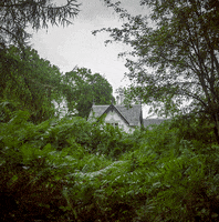 haunted house forest GIF by Nino Paulito