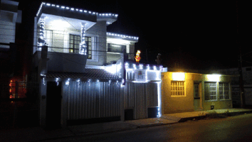 zero christmas lights mexico GIF