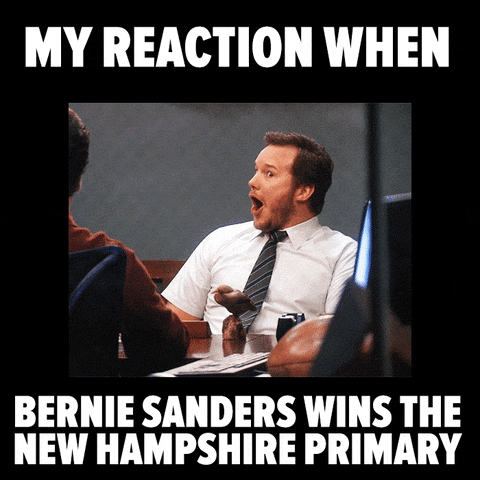 other98 bernie sanders new hampshire primary GIF