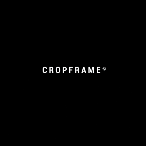 cropframe white black smoke electronic GIF