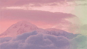 Time-Lapse Pink GIF by Chelsea Quinlan
