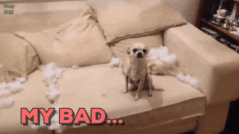 bad dog oops GIF by chuber channel