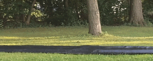 Slip N Slide Lol GIF by America's Funniest Home Videos