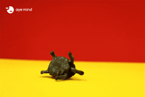 ayemind happy gif sad weird GIF
