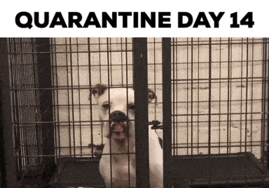 Have you had to be in true quarantine like due to you or someone in your family