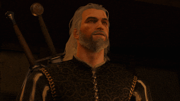 Witcher 3 GIF by The Witcher