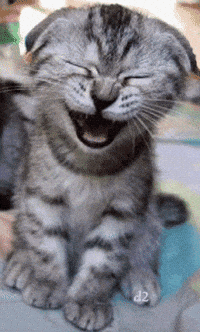 Funny-animation GIFs - Get the best GIF on GIPHY Funny-animation GIFs - Get the best GIF on GIPHY