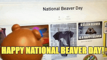 nickfoxradiogmailcom beaver day GIF