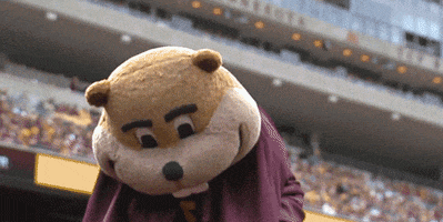 College Sports Cape GIF by Minnesota Gophers