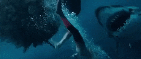 200.gif?cid=fc005b08aca6acf248272b3e9abf5caaa39149655ead2811&rid=200.gif&ct=g
