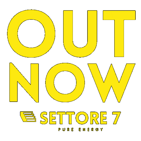 Settore 7 Sticker