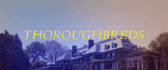 title card GIF by Thoroughbreds