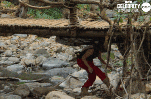 bridge hide GIF by I'm A Celebrity... Get Me Out Of Here! Australia