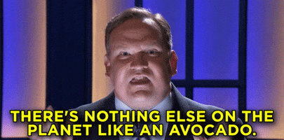 Andy Richter Avocado GIF by Team Coco
