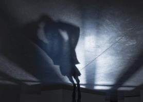 shadow self GIF by mezitlab