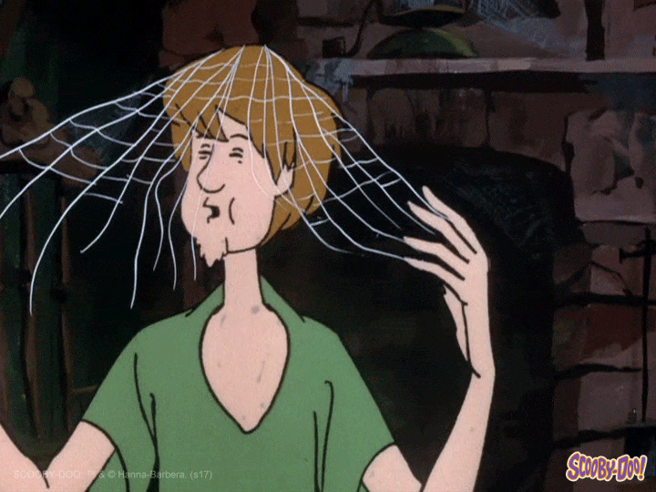 web spider GIF by Scooby-Doo