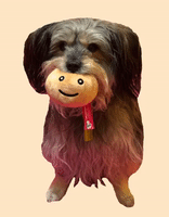 Dog GIF by Big Potato Games