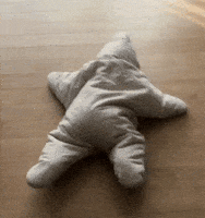 Sea Star Baby GIF by reactionseditor