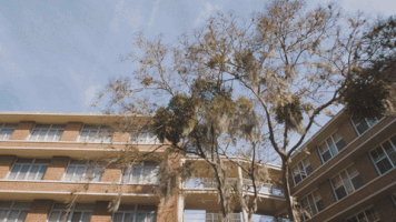 student life campus GIF by University of Florida