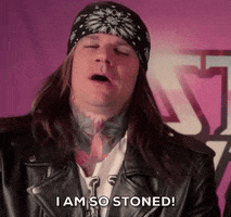 stoned steel panther GIF