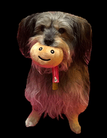Dog GIF by Big Potato Games