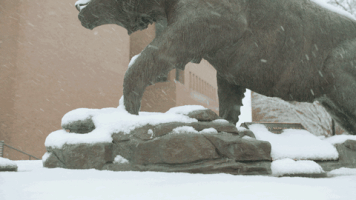 200.gif?cid=fc005b08044334abe6cde32735d513a718670d4b61fc0357&rid=200.gif&ct=g