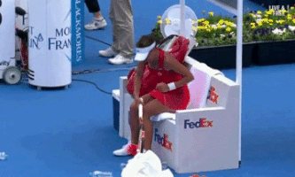 talbotbohemiacardinal  GIF