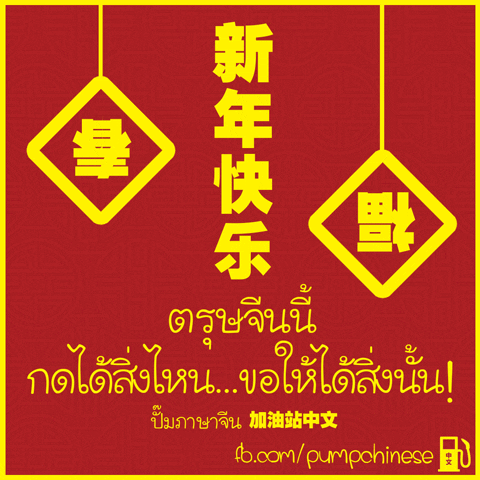 pumpchinese cny chinese new year chinese mandarin GIF