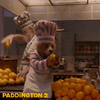 paddington bear giphy gifs