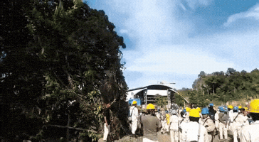 Halmahera Tengah GIF
