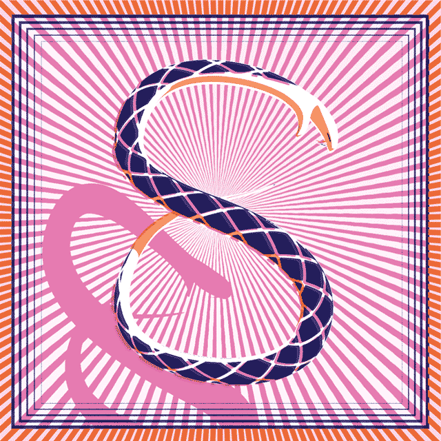 jeremiesolomon snake motion design printmaking risograph GIF