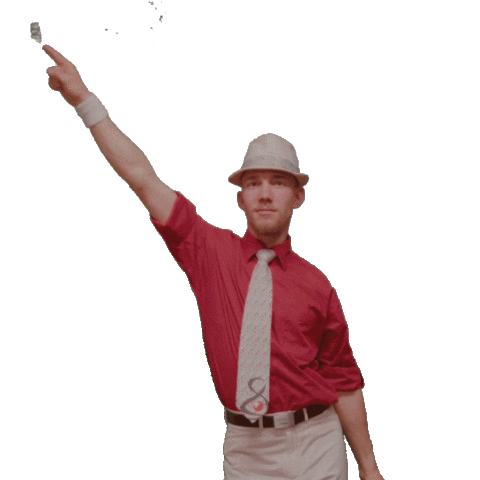 Dance Wave Sticker by showband.CH