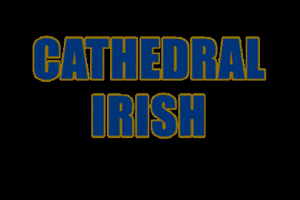 Cathedral High School GIF by cathedralirish