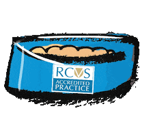 Pss Sticker by theRCVS