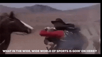 Sports GIF