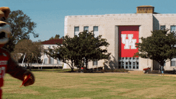 On Fridays We Wear Red GIF by University of Houston